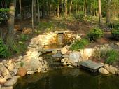 pond.jpg